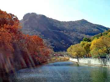 澳门二四六天天彩图库，包装流水线厂家